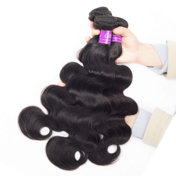 Body Wave 3 Bundles With Closure