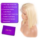 Brazilian 613 Straight Full Lace Bob Wig (5)