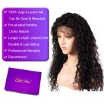 360 water wave lace front wig