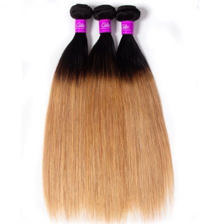 celie hair Ombre straight hair bundles