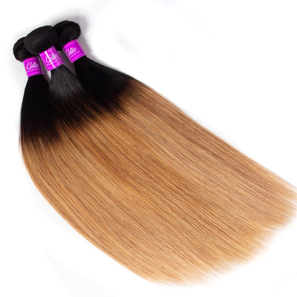 celie hair Ombre straight hair bundles