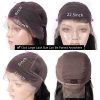 Straight HD Lace Wigs