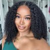 kinky curly silk base glueless wig (3)