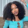 kinky curly silk base glueless wig (3)